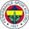 Fenerbahce Grundig Stambul